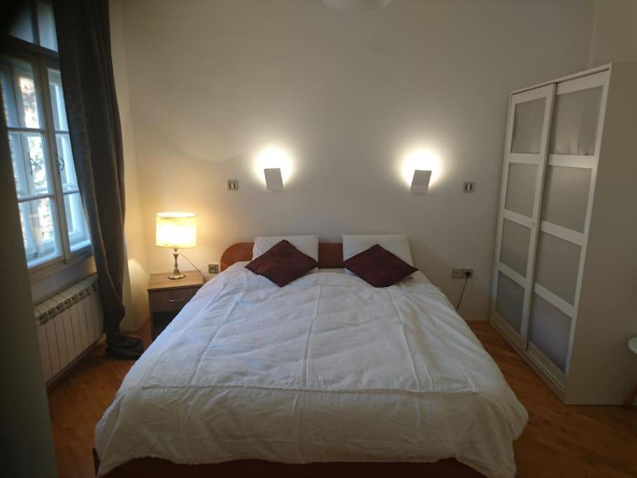 Apartment Rahela 萨格勒布 外观 照片